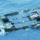 Illustration for article titled Fish From Japan Found Alive In Drifting Tsunami Wreck